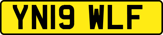 YN19WLF