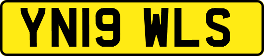 YN19WLS