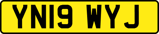 YN19WYJ