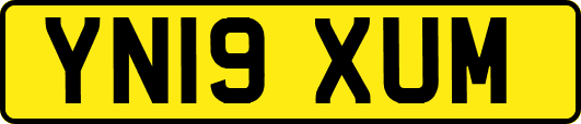YN19XUM