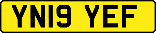 YN19YEF