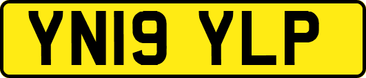 YN19YLP