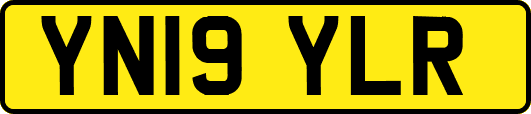 YN19YLR