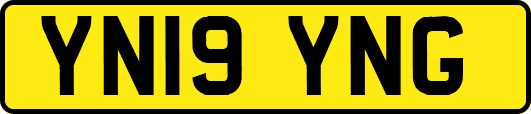 YN19YNG