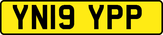 YN19YPP