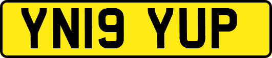 YN19YUP