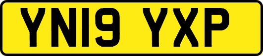 YN19YXP