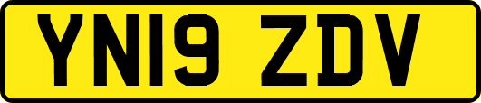 YN19ZDV