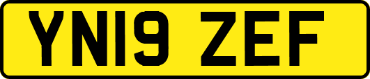 YN19ZEF