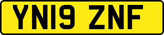YN19ZNF