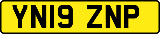 YN19ZNP