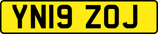 YN19ZOJ