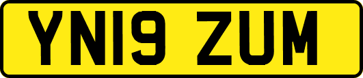 YN19ZUM