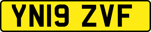 YN19ZVF