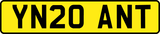 YN20ANT