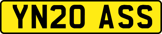 YN20ASS