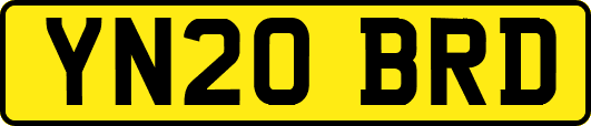 YN20BRD