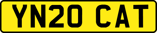 YN20CAT