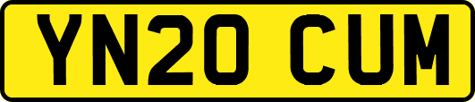 YN20CUM