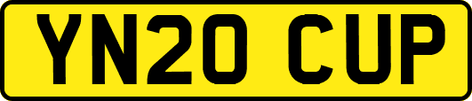YN20CUP