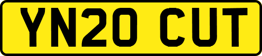 YN20CUT
