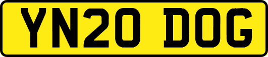 YN20DOG
