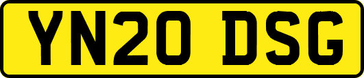 YN20DSG