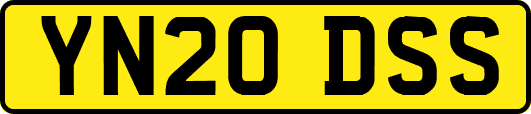 YN20DSS