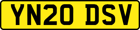 YN20DSV