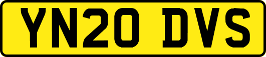 YN20DVS