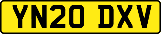 YN20DXV