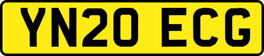 YN20ECG