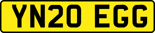 YN20EGG