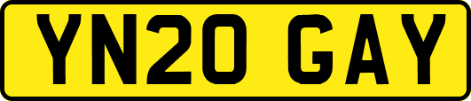 YN20GAY