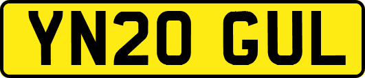 YN20GUL