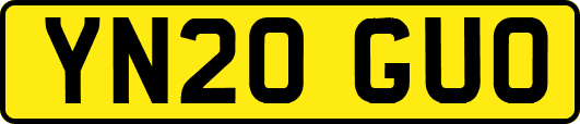 YN20GUO