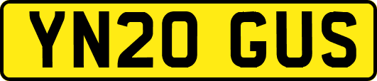 YN20GUS