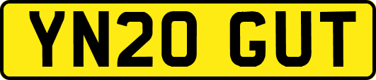 YN20GUT