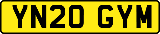 YN20GYM