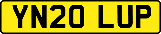 YN20LUP