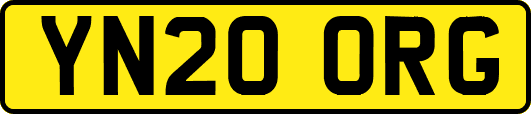 YN20ORG