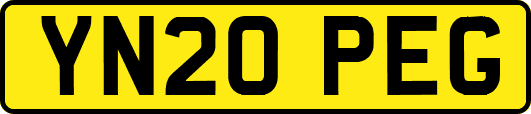 YN20PEG