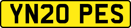 YN20PES