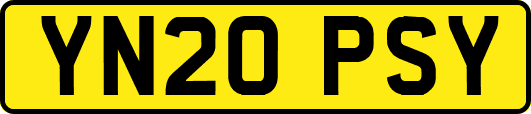 YN20PSY