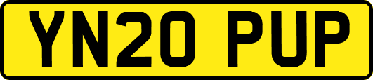 YN20PUP