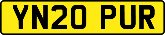 YN20PUR