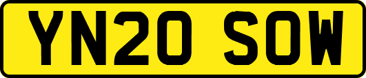 YN20SOW