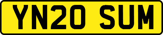 YN20SUM
