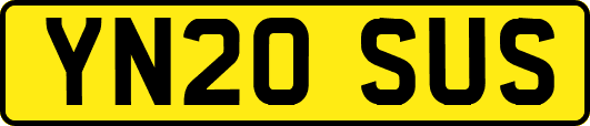 YN20SUS