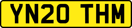 YN20THM
